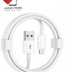 Lightning to USB Cable (1 m)